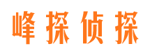 临翔找人公司